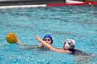 WWPolo vs CC  Wheaton College Women’s Water Polo vs Connecticut College. - Photo By: KEITH NORDSTROM : Wheaton, water polo